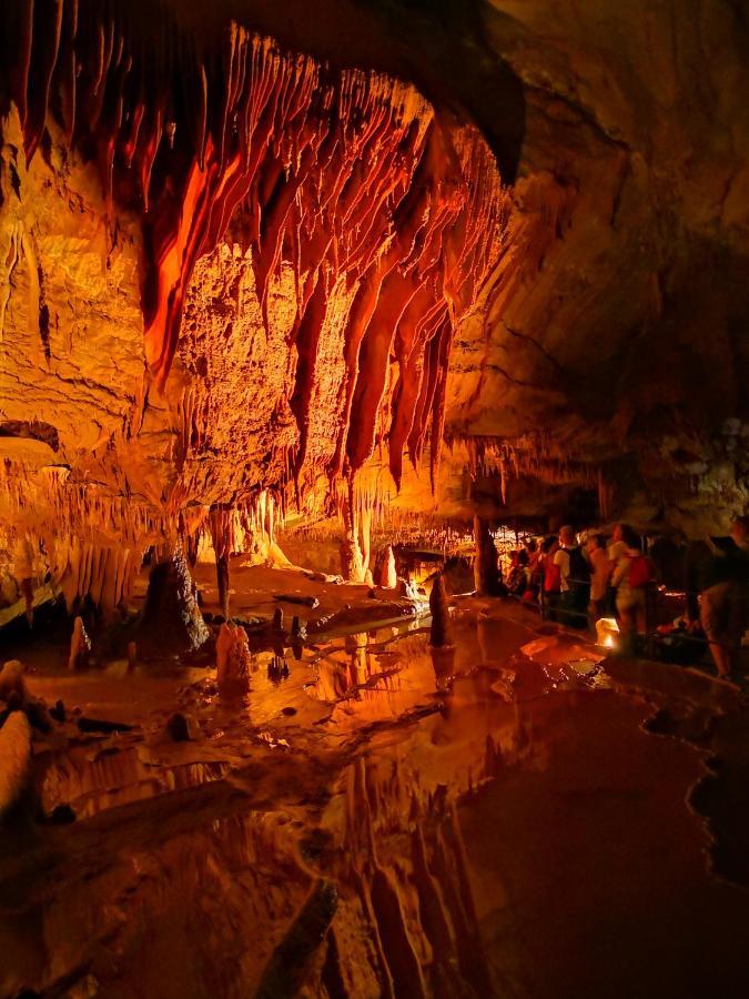 Magnifique Gite En Pierres 6 Personnes Avec Piscine Privee Ardeche Plein Sud Lablachère Zewnętrze zdjęcie